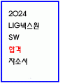 LIG넥스원 SW 자소서 1페이지
