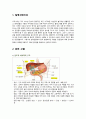레포트월드 담관염 케이스 SBAR (1) 2페이지