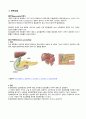 A+받을 수 있는 성인실습 췌장염(pancreatitis) 간호과정 및 간호진단1개 상세내용!!! 2페이지