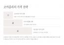 코카콜라 4P 마케팅 전략 9페이지