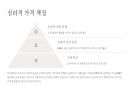 코카콜라 4P 마케팅 전략 11페이지