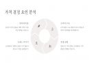코카콜라 4P 마케팅 전략 14페이지
