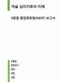 9분할 통합회화법 (NDIP) 보고서(미술 심리치료의 이해) 1페이지