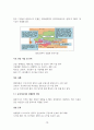 한국 스타트업을 위한 이슬람권 시장 이해 10페이지