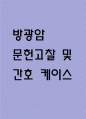 [방광암 문헌고찰 및 간호 케이스] 방광암 병태생리,원인,증상,치료법 연구 / 방광암 간호목표,간호계획,간호중재,간호평가 1페이지