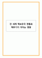 전 세계 핵보유국 현황과 핵무기가 끼치는 영향 1페이지