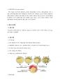 미생물 배양법 비교 실험 보고서 2페이지