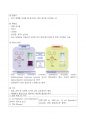 항산화 활성 비교 실험 보고서 – 사과식초 vs 3배식초 2페이지