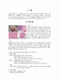 골육종 케이스스터디 2페이지