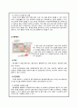 거대적아구성 빈혈 케이스스터디 4페이지