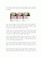 톨스토이 소설 ‘안나 카레리나’의 상세 분석 2페이지