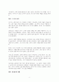헤르만 헤세 중편 싯다르타의 상세 분석 2페이지