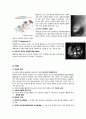 담낭절제술 케이스스터디 3페이지