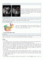 성인간호A+ 담석증 case study 6페이지