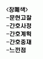 장폐색 연구레포트 - 장폐색 문헌고찰과 간호사정,간호계획,간호중재 및 느낀점 1페이지