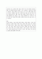 디지털 성범죄의 법적 대응 2페이지