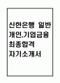 신한은행 자기소개서 - 신한은행 일반 개인,기업금융  자소서 (신한은행 자기소개서 BEST 예문) 1페이지