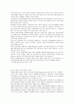엔카의 마케팅 전략 4페이지