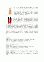 P&G의 마케팅 전략 분석 14페이지