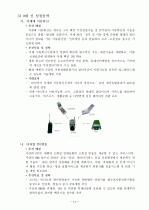IT 839 전략분석 16페이지