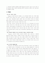 about Hazzys 10페이지