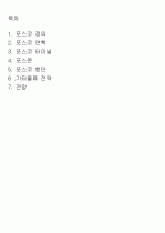 포스코의 물류 전략 2페이지