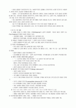 20세기의 사상적 실험과 역사적 비전의 가능성 2페이지