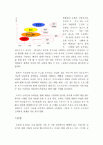화장품 업계1위 아모레 퍼시픽 기업분석 14페이지