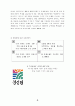 청정원브랜드마케팅전략분석 4페이지
