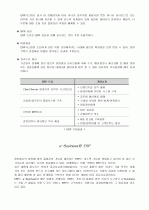 e-Business의 구성 요소와 ERP의 개념 5페이지
