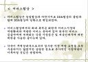 dda란 무엇인가?? 7페이지