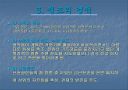조선 최고의 군주  정조 13페이지
