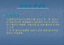 조선 최고의 군주  정조 20페이지