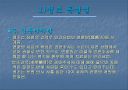 조선 최고의 군주  정조 21페이지