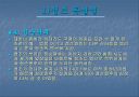 조선 최고의 군주  정조 22페이지