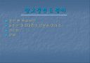 조선 최고의 군주  정조 30페이지