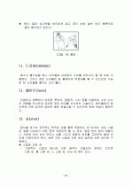 핸드볼에 대하여 7페이지