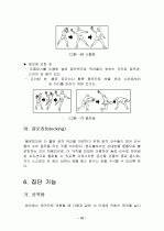 핸드볼에 대하여 8페이지