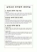 청소년 보호에 관련법률에 대한 내용 분석  2페이지