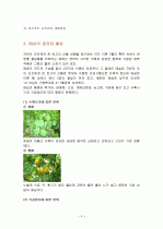 매실의 특징과 효능 및 영양성분 (식품학) 4페이지