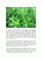 쑥의 특징과 효능 및 영양성분 (식품학) 2페이지