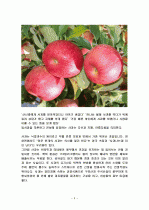 사과의 특징과 효능 및 영양성분 (식품학) 2페이지