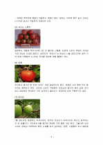 사과의 특징과 효능 및 영양성분 (식품학) 6페이지