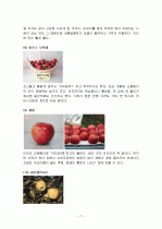 사과의 특징과 효능 및 영양성분 (식품학) 7페이지