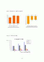 [마케팅원론] `제주항공`(저가항공사)의 마케팅 전략 분석 [`A+레포트`] 18페이지
