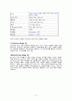 미시시피강 다리 붕괴원인 5페이지
