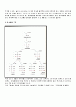 탄수화물의 모든 것 (완벽정리) 2페이지