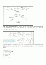 탄수화물의 모든 것 (완벽정리) 6페이지