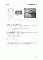 주거의 개념과 역사  5페이지