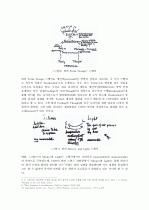 Louis I. Kahn의 디자인 개념과 형태 요소에 따른 평면구성에 관한 연구 6페이지
